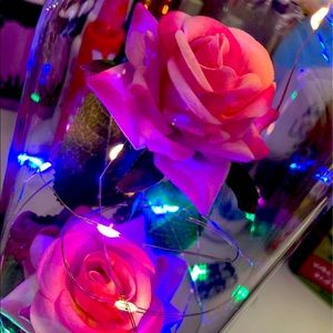 Beauty and the Beast Pink Light Up Flower
